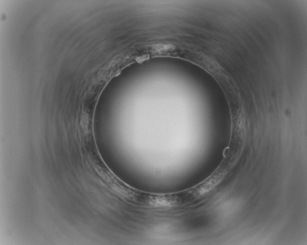 X0000058100565200509261212