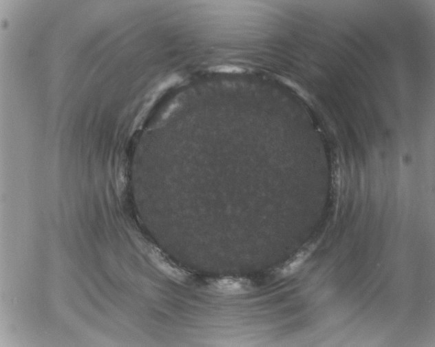 X0000058100566200509261212