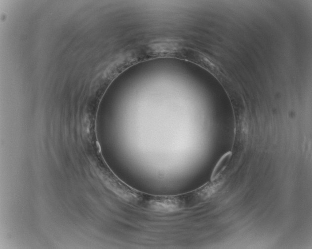 X0000058100567200509261212