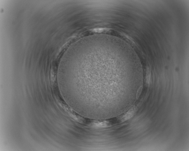 X0000058100569200509261212