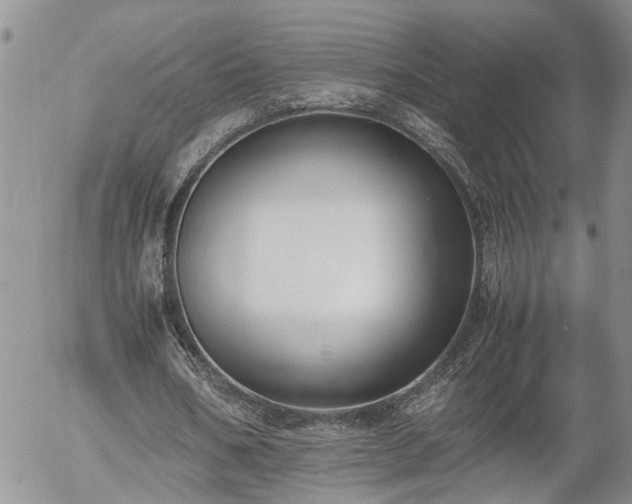 X0000058100578200509261212