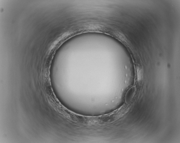 X0000058100579200509261212