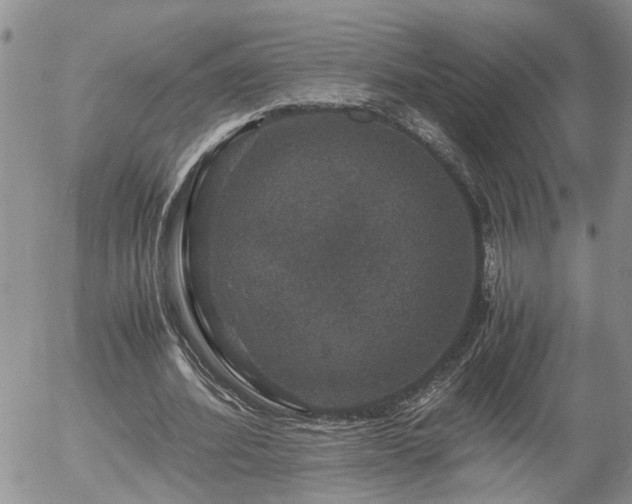 X0000058100580200509261212