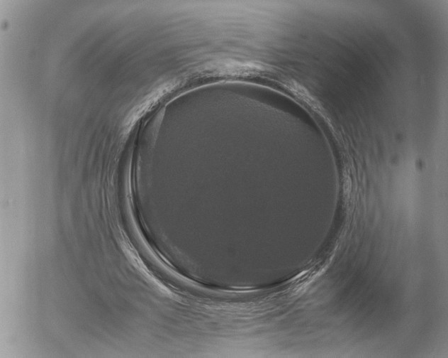 X0000058100581200509261212