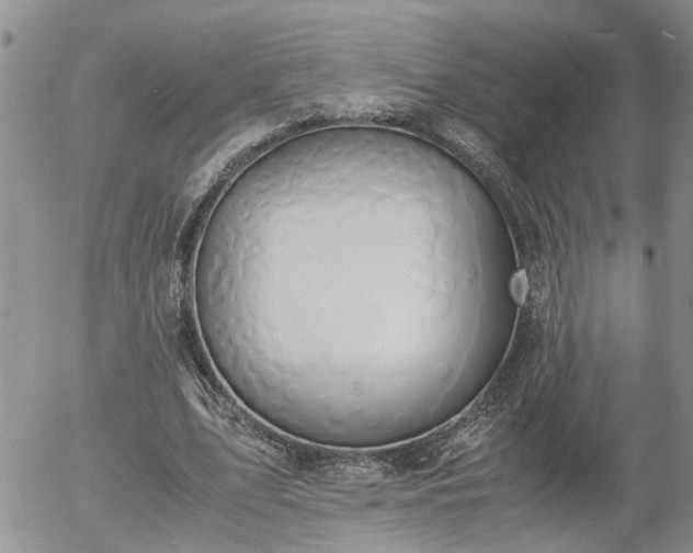 X0000058100583200509261212