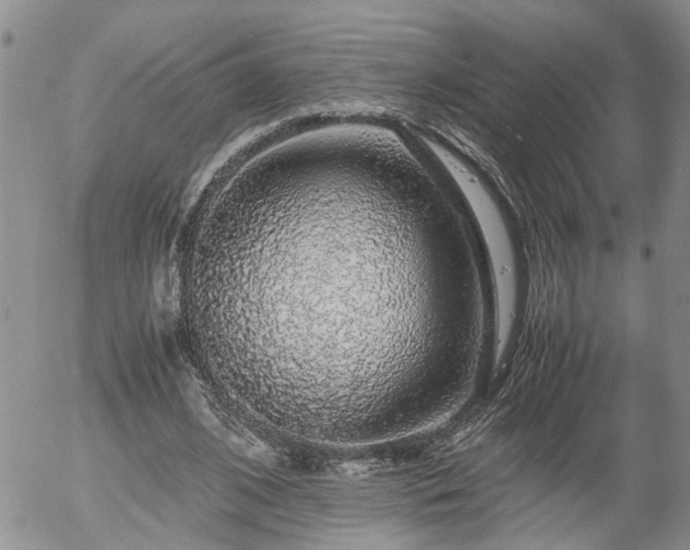 X0000058100584200509261212