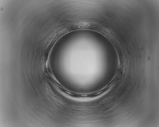 X0000058100604200509261211
