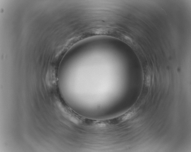 X0000058100620200509261211