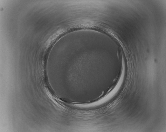 X0000058100677200509261210