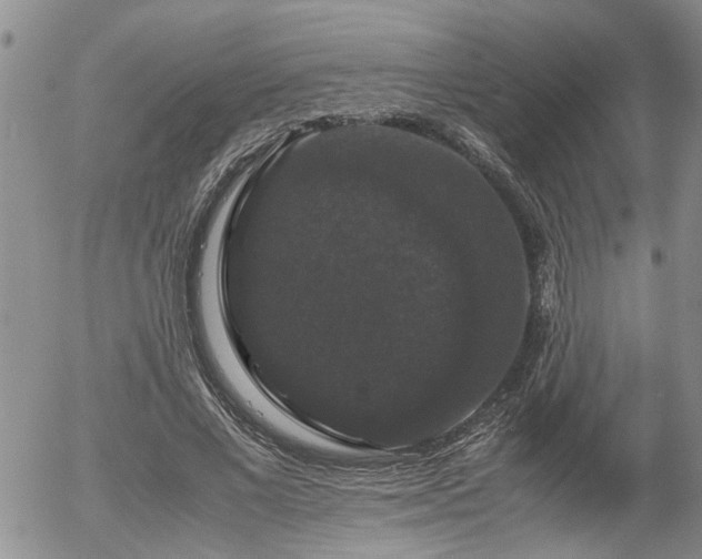 X0000058100685200509261210