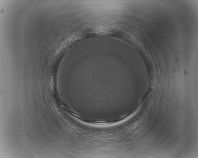X0000058100689200509261210