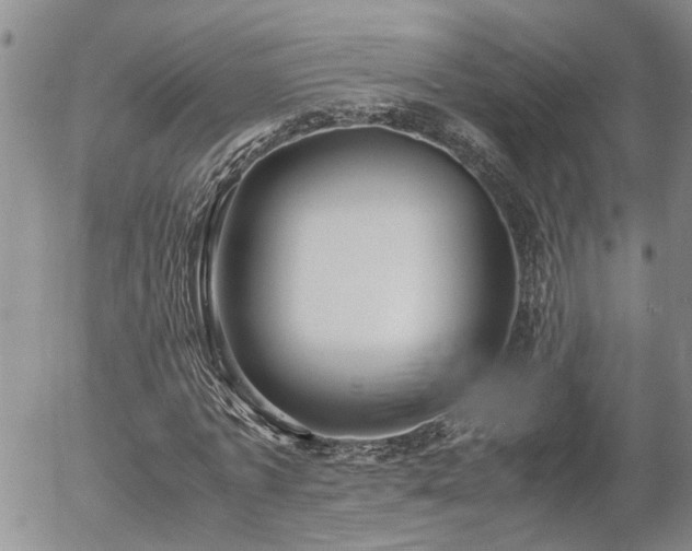 X0000058100773200509261208