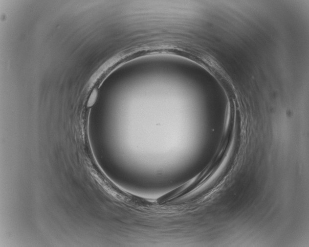 X0000058100789200509261208