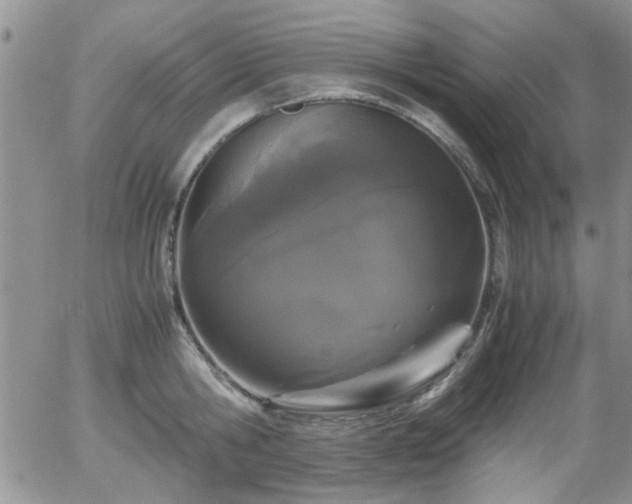 X0000058100806200509261208