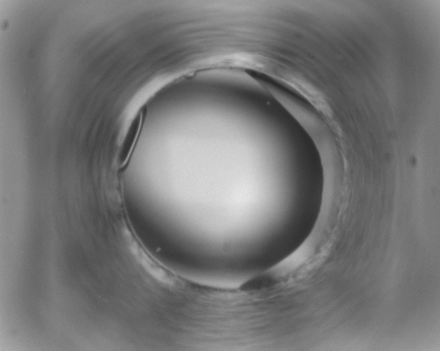 X0000058100816200509261208