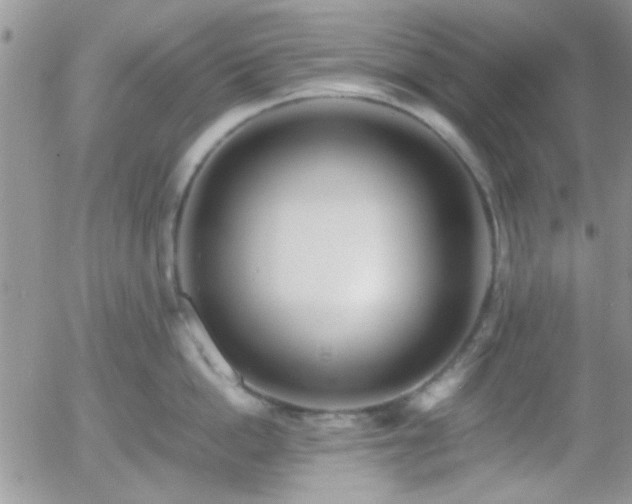 X0000058100862200509261208