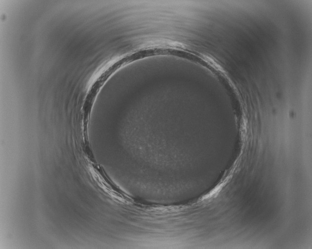 X0000058100877200509261207