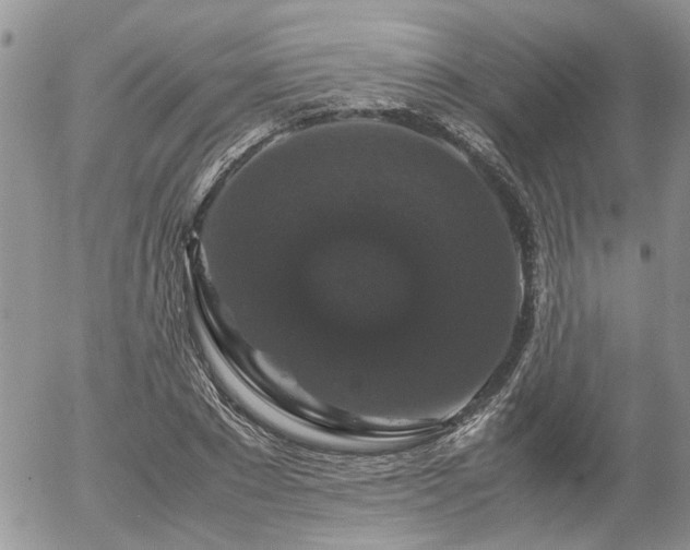 X0000058100881200509261207
