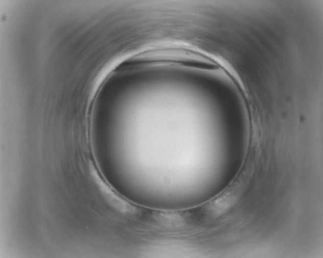 X0000058100911200509261206