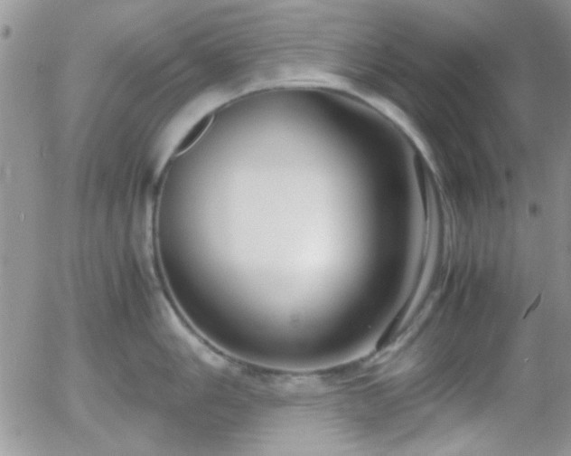 X0000058101006200509261204