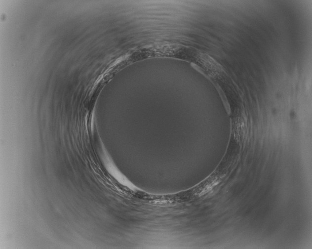 X0000058101010200509261204