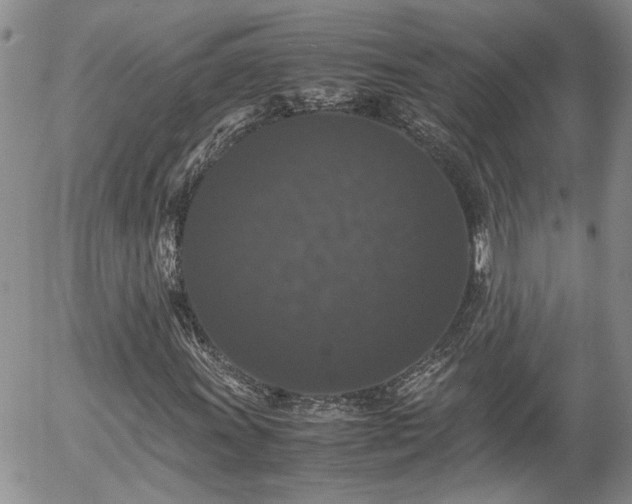X0000058101011200509261204