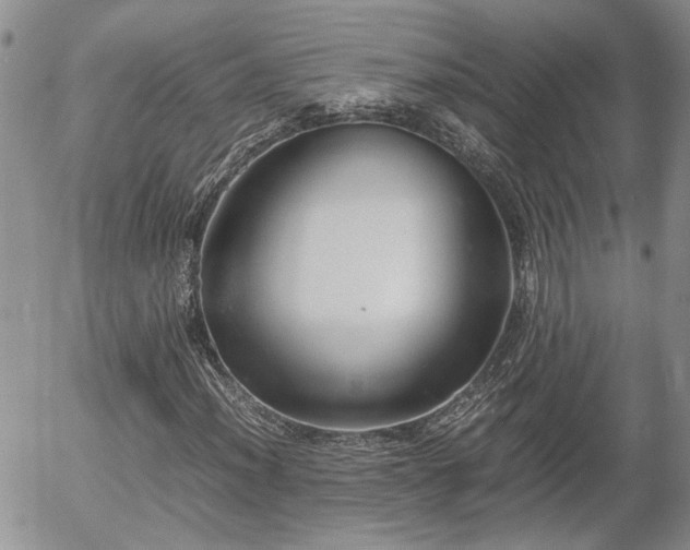 X0000058101012200509261204
