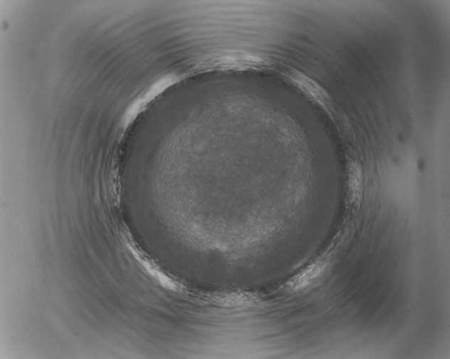 X0000058101018200509261204