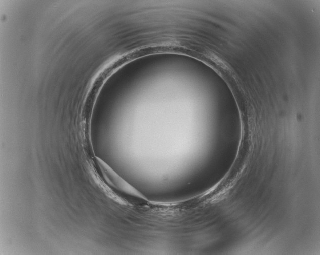 X0000058101029200509261204