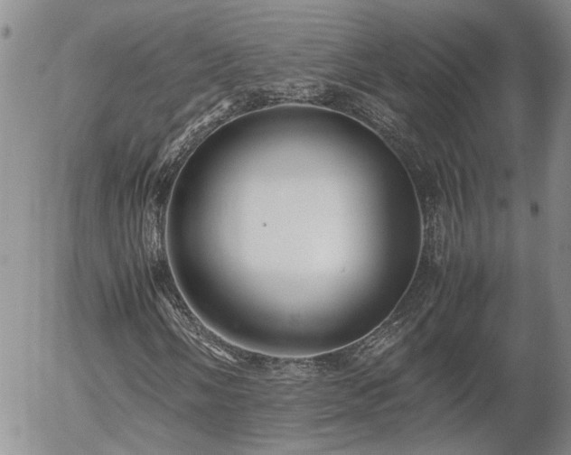 X0000058101058200509261204