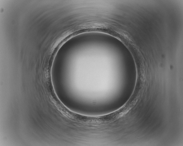 X0000058101073200509261203