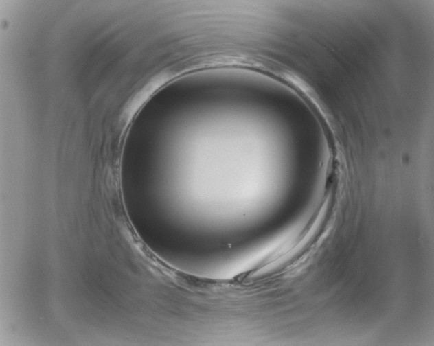X0000058101097200509261203