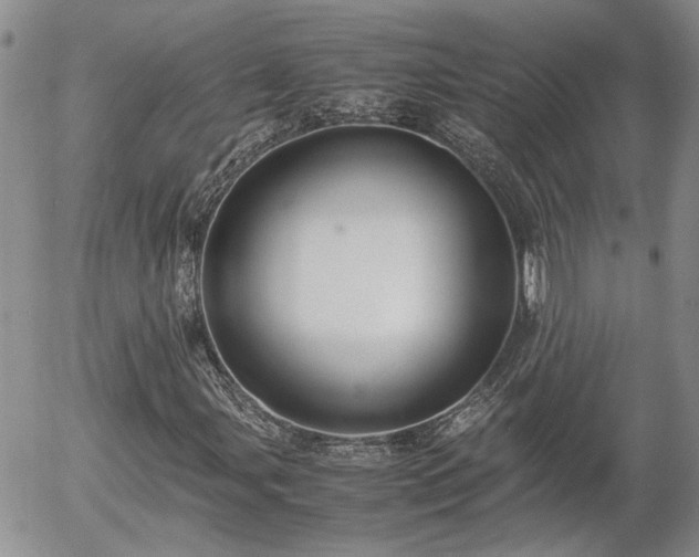 X0000058101107200509261202