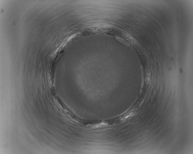 X0000058101108200509261202