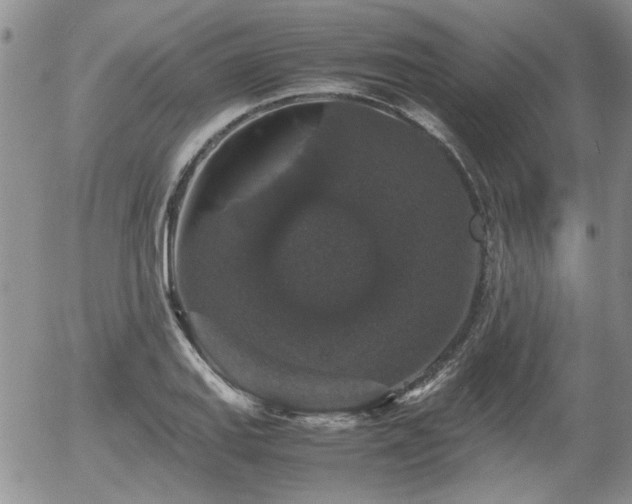 X0000058101127200509261202
