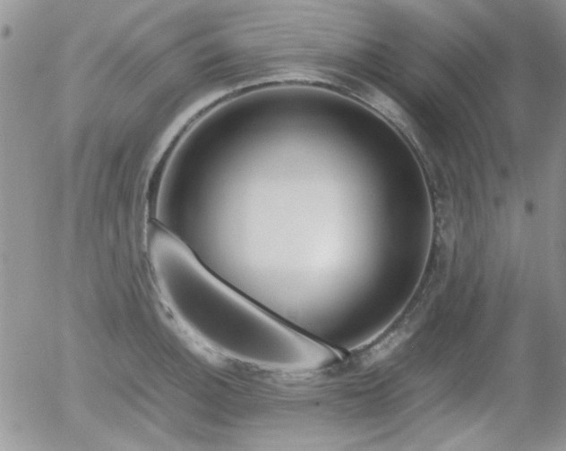 X0000058101140200509261203