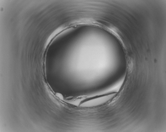 X0000058101146200509261203
