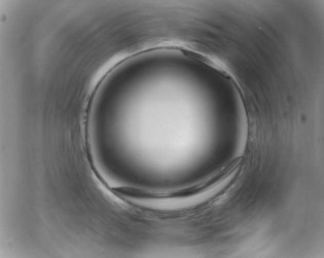 X0000058101151200509261203