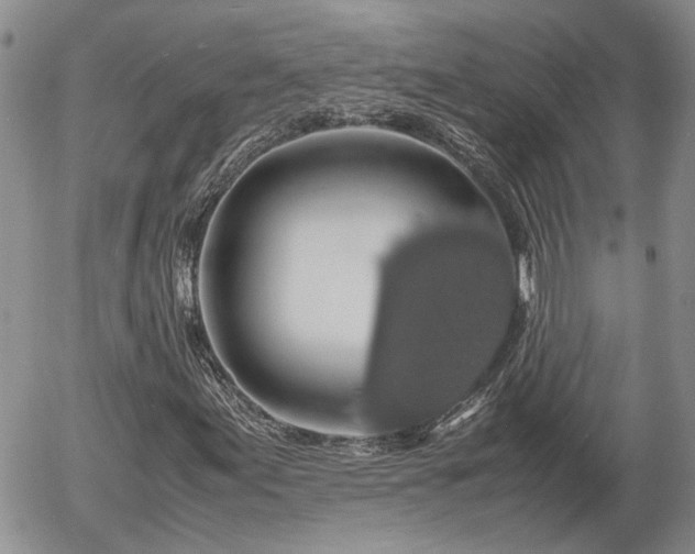 X0000058101155200509261202
