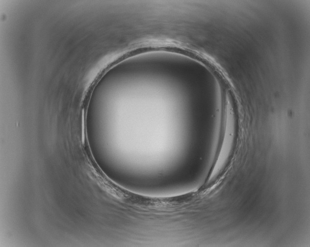 X0000058101175200509261202