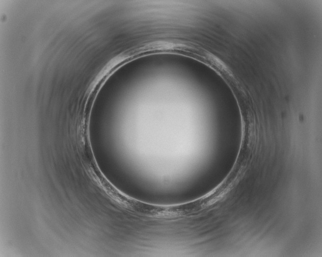 X0000058101178200509261202