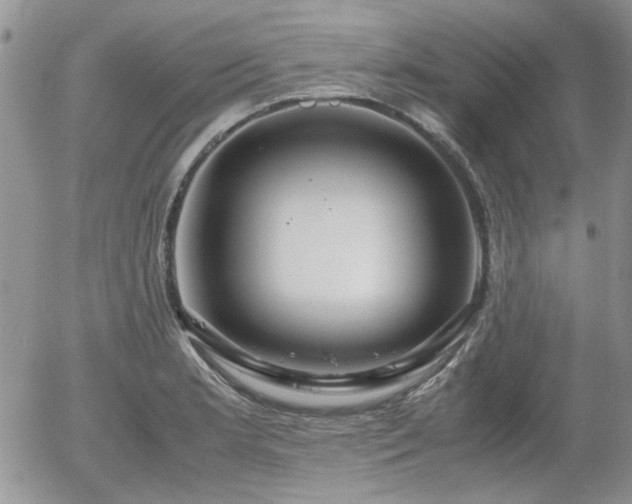 X0000058101181200509261202