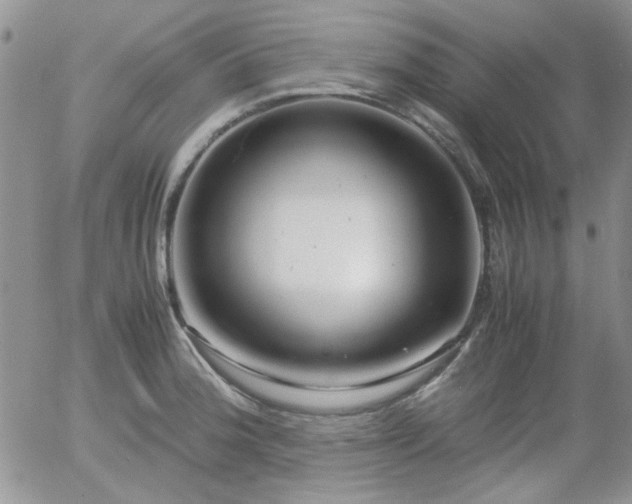 X0000058101188200509261201