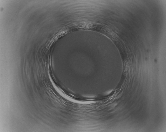 X0000058101202200509261200