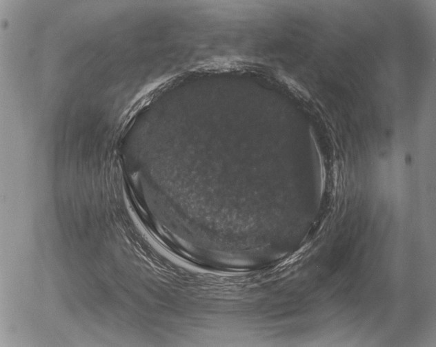X0000058101206200509261201