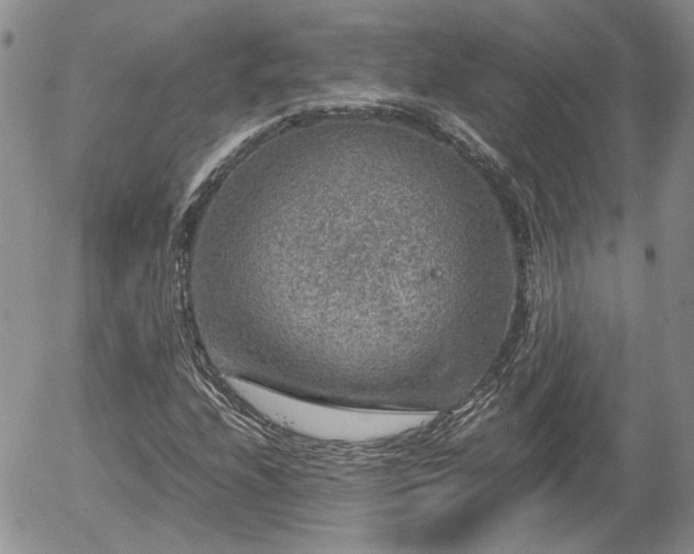 X0000058101208200509261201