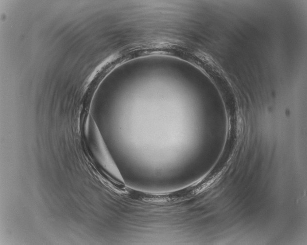X0000058101210200509261201