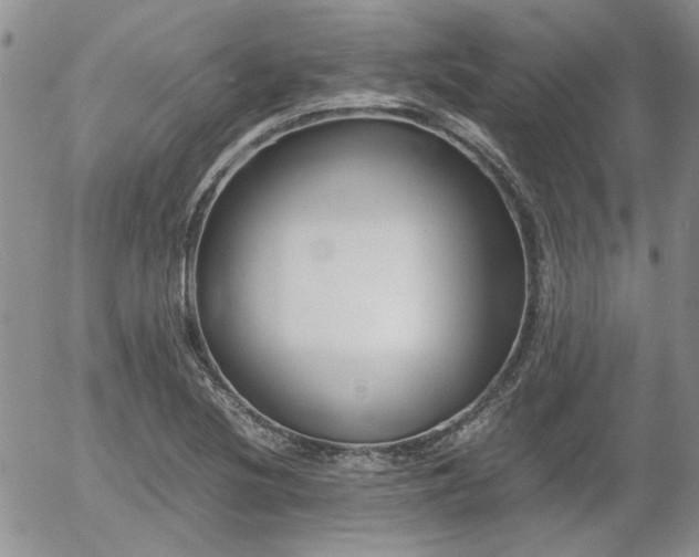 X0000058101220200509261201