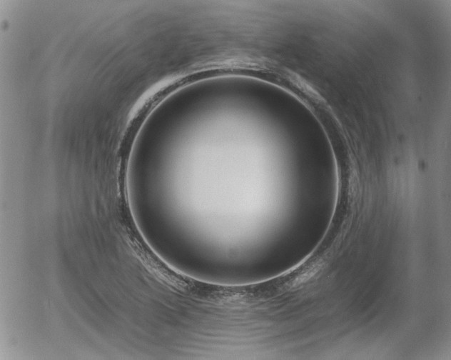 X0000058101222200509261201