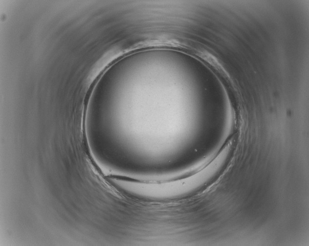 X0000058101228200509261201